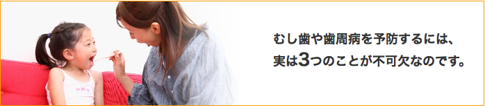 むし歯や歯周病を予防するには、実は3つのことが不可欠なのです。
